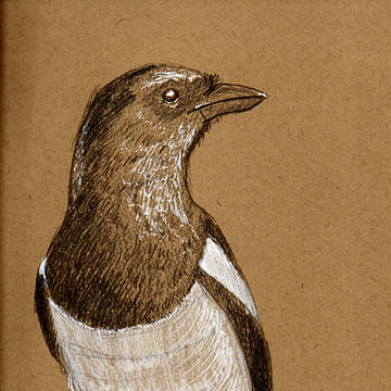 鳥の習作④