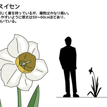搾精スイセン