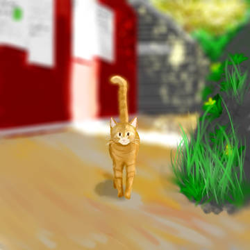 猫