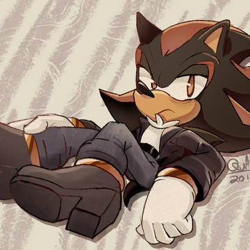 Sonic log 03