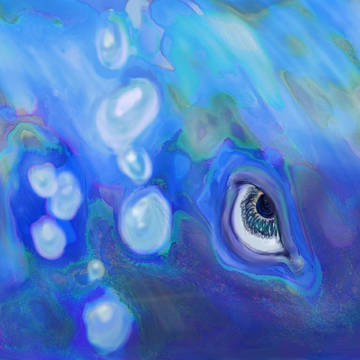inspired by 海の幽霊