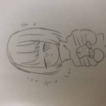 色々詰めた🍣( '-' 🍣  )ｽｼﾁｬﾝ