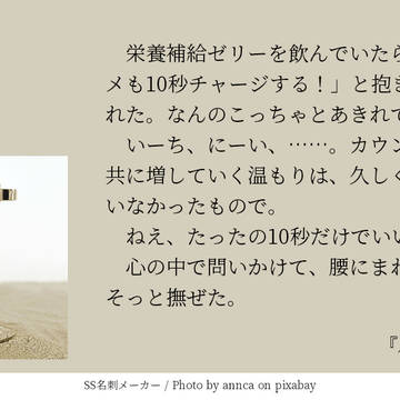 ヒメヒナ物語140字詰め　その１