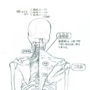 自分用に図解したもの