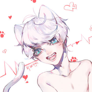 猫