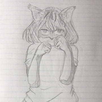 猫ボクサー