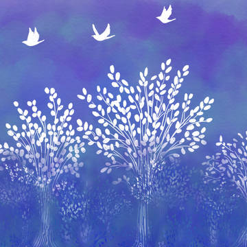 夜の森
