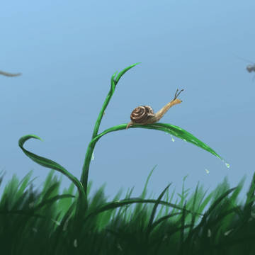 fly