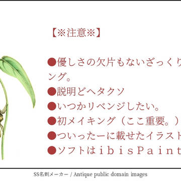 優しさの欠片もないざっくりメイキング