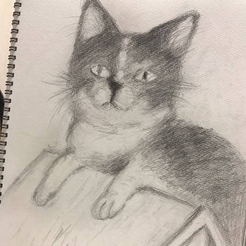ねこ🐱
