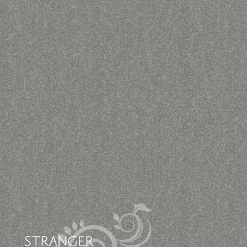 Stranger 再録 3