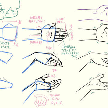 基本の手の描き方メモ