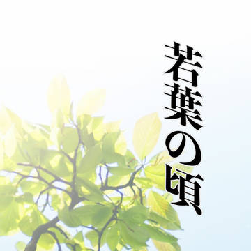 裏稼業13 新刊サンプル