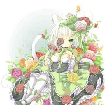薔薇猫ちゃん