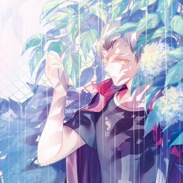雨