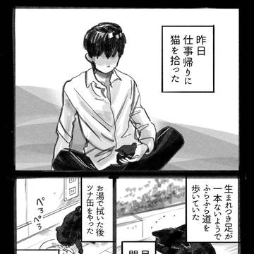 猫を拾った話