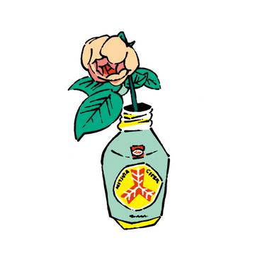 三ツ矢サイダー