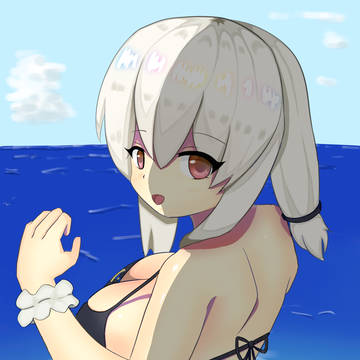Summer with Sirius