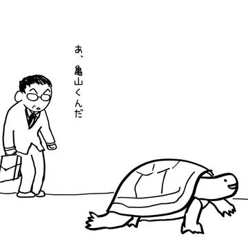 亀との遭遇