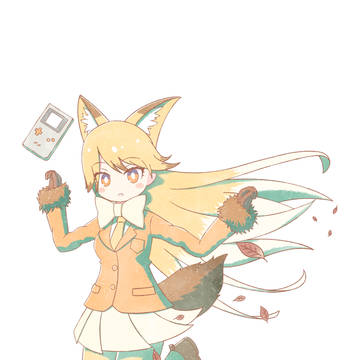 キタキツネ