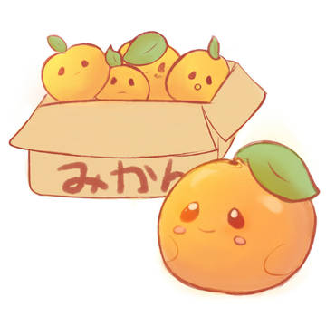 みかん