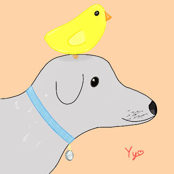 Doggo and Birb