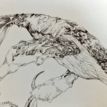 ペン画