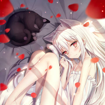 고양이