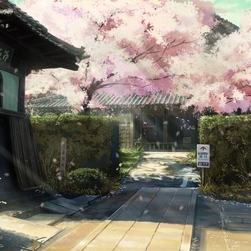 サクラ