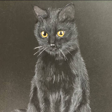 寿司が好き