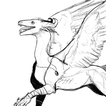 dragon