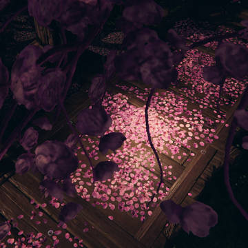 #花苍#BG。别问,问就是想蹂躏盾娘