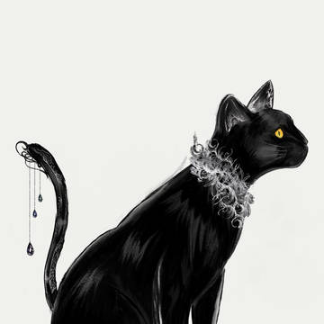 cat
