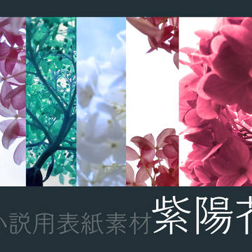 小説用表紙素材:アジサイ