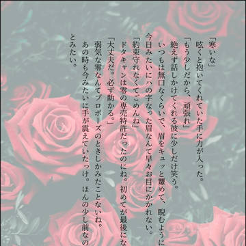 詰め合わせ1