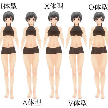 体型の種類