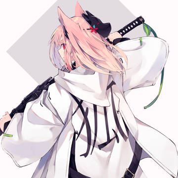 狐