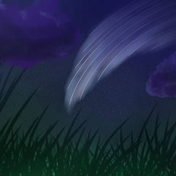 星が降る夜