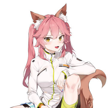 (FGO)玉藻の前