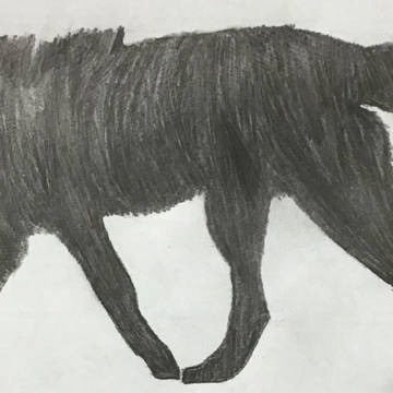 SCP-023 黒い抜け殻