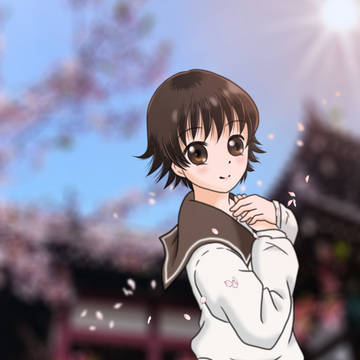 ぽって、桜吹雪の普明閣