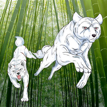 ginga13