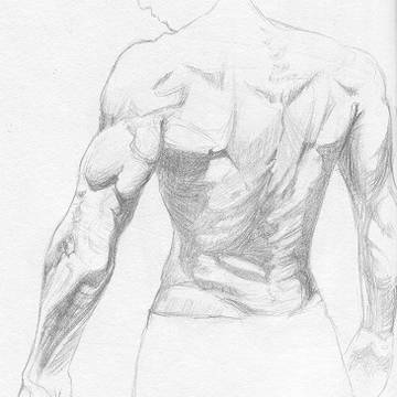 Art Study