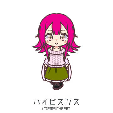 まあ夢さんから上の姉さんたちの写真です