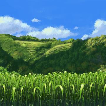 Summer grass near the mountain