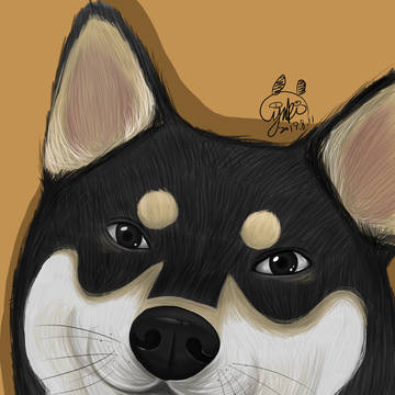 柴犬QQ