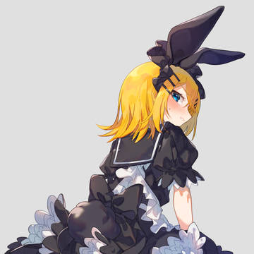 usa/maid