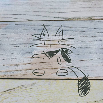 姑蘇~周庄的猫~