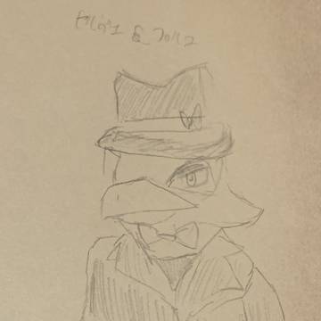 ファルコ(セルヴェ衣装)
