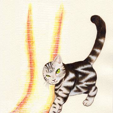 架空のネコ